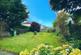 Garden at Back