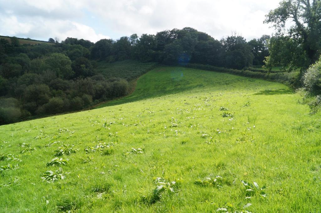 Blaenycoed road, Carmarthen SA33 6ER Farm land £80,000