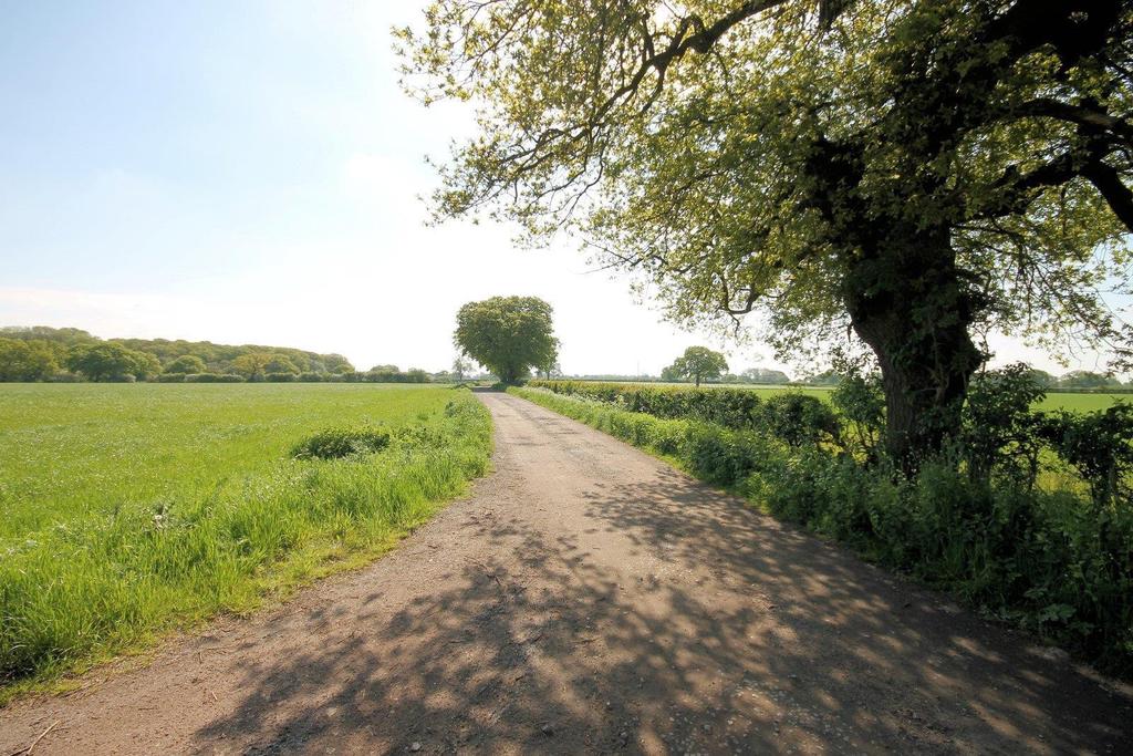 Lane
