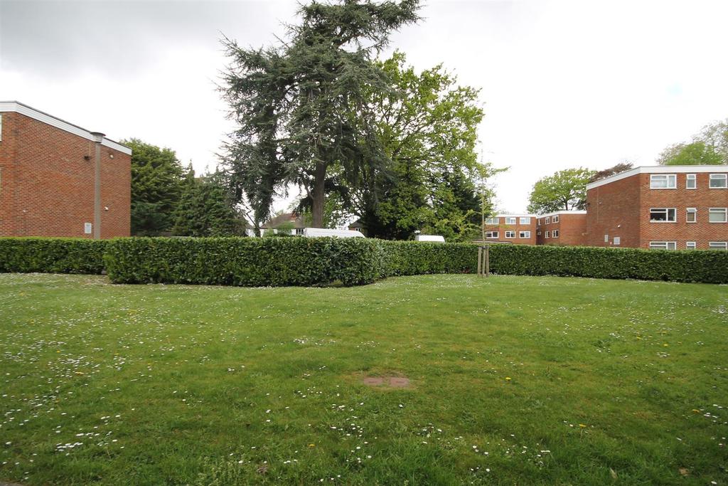 Img 3892.jpg