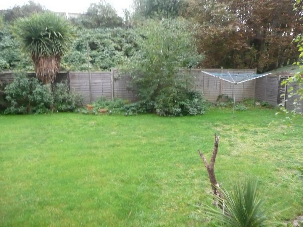 Communal Garden