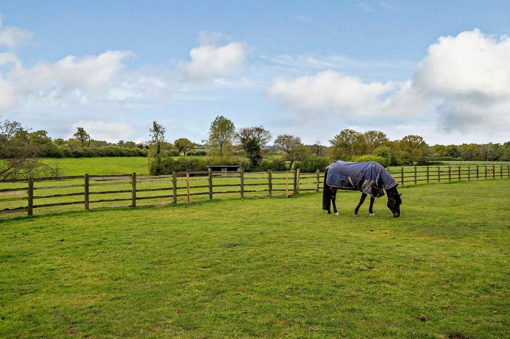 Paddocks