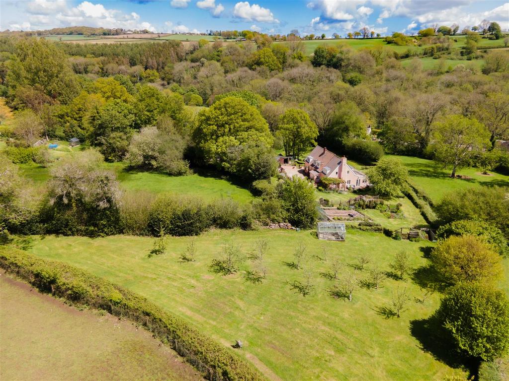 Long Orchard Axminster-23.jpg