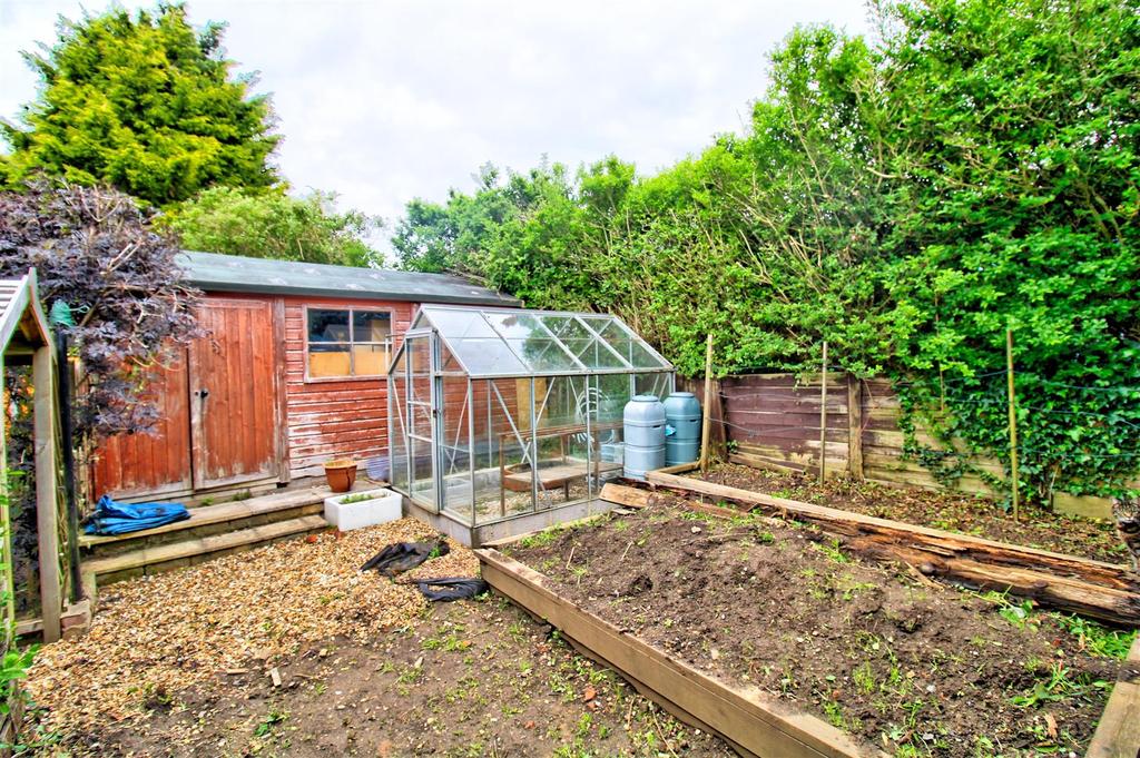Vegetable garden.jpg