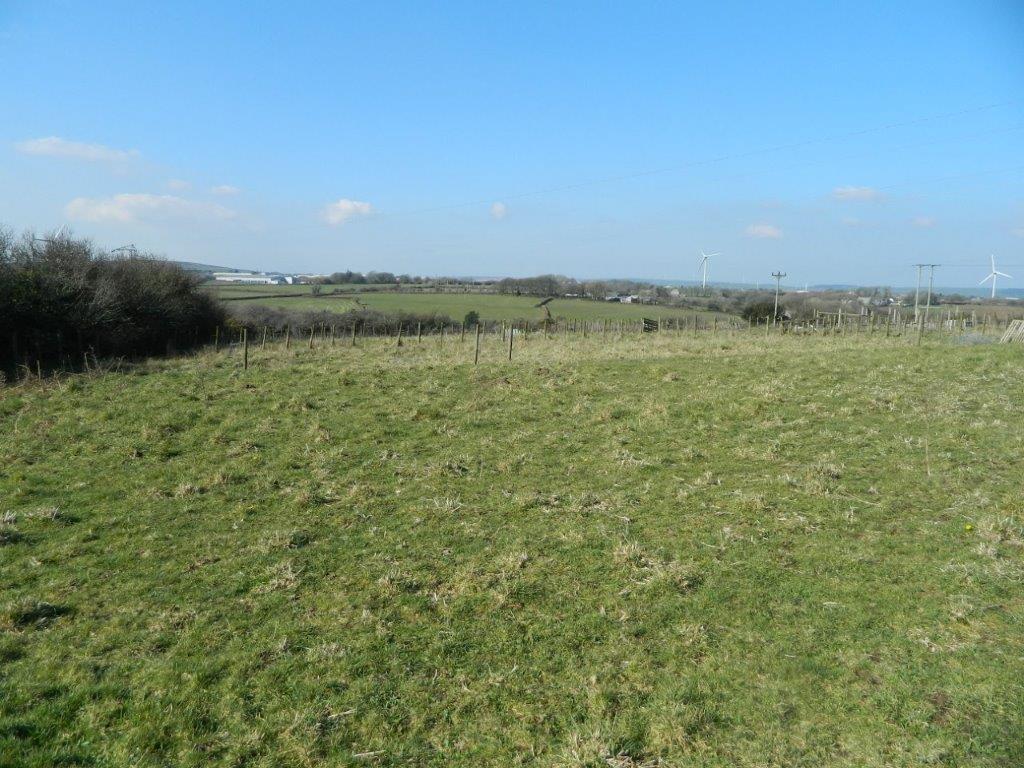 DSCN1016.jpg