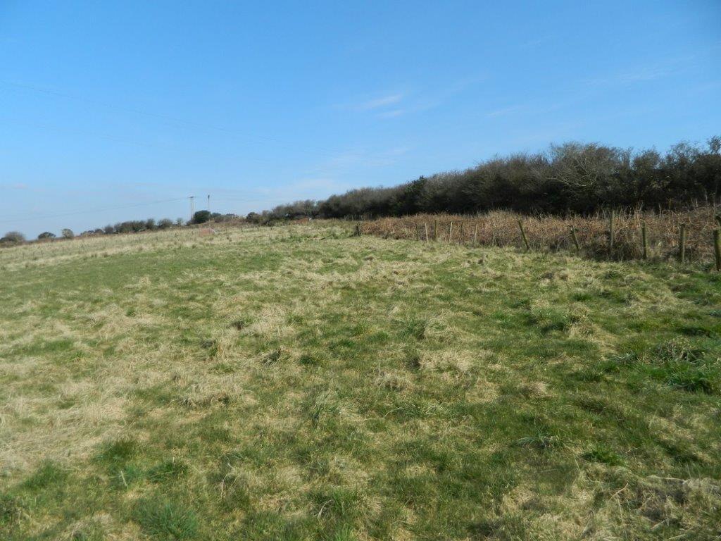 DSCN0996.jpg