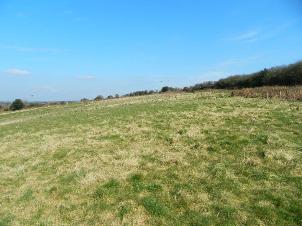 DSCN0998.jpg