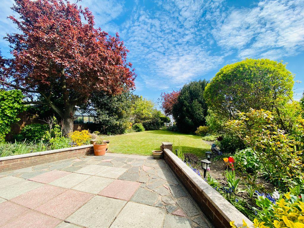 Garden at Back