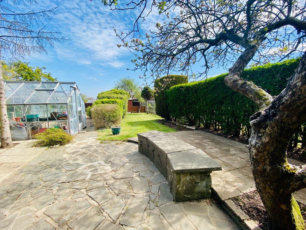Garden at Back