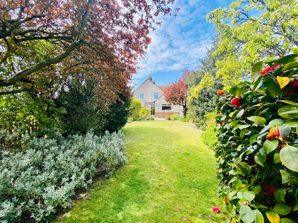 View of Property at Back
