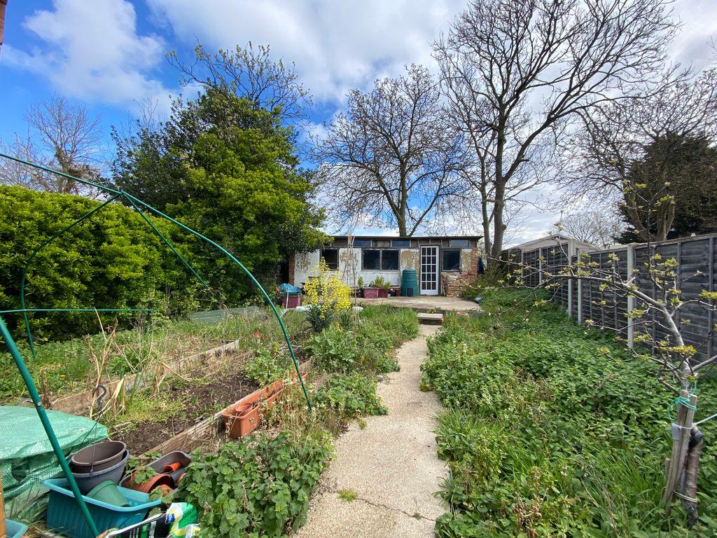 Garden at Back