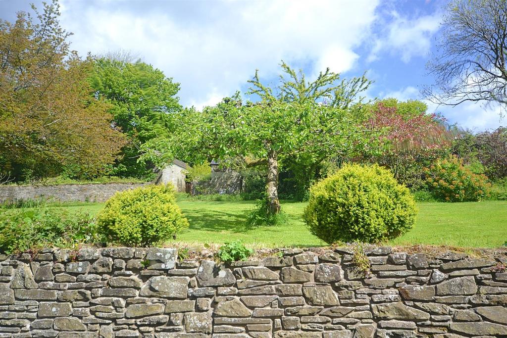 View from Kitchen