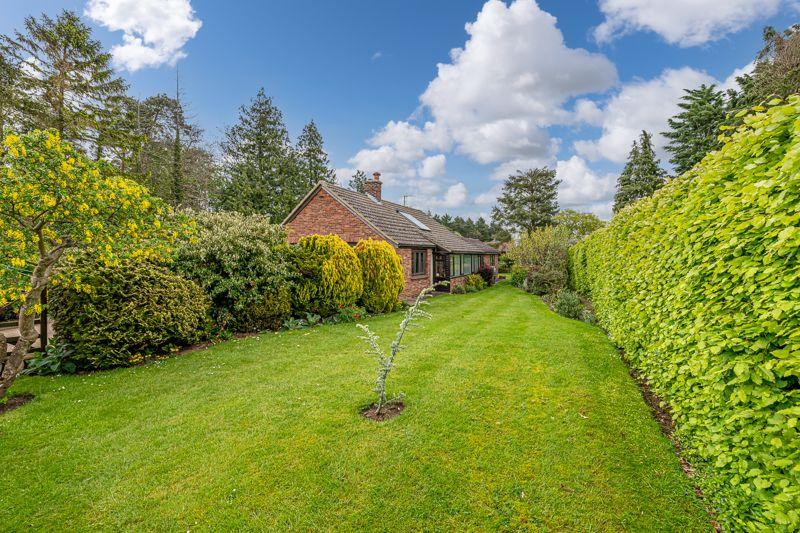 Garden and Bungalow