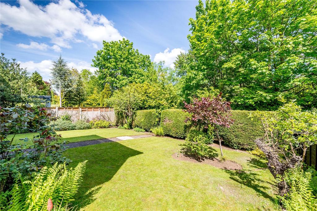 Garden 2