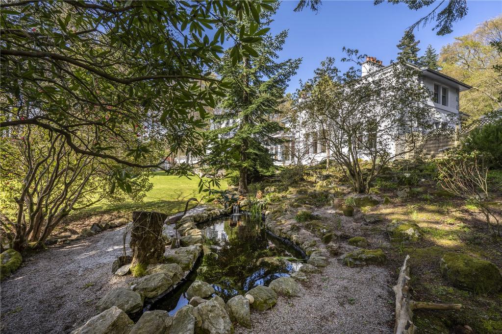 Lower Pond