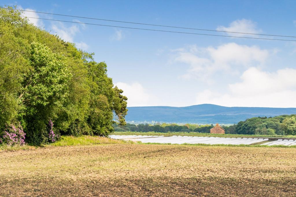 Beech Grove Farm