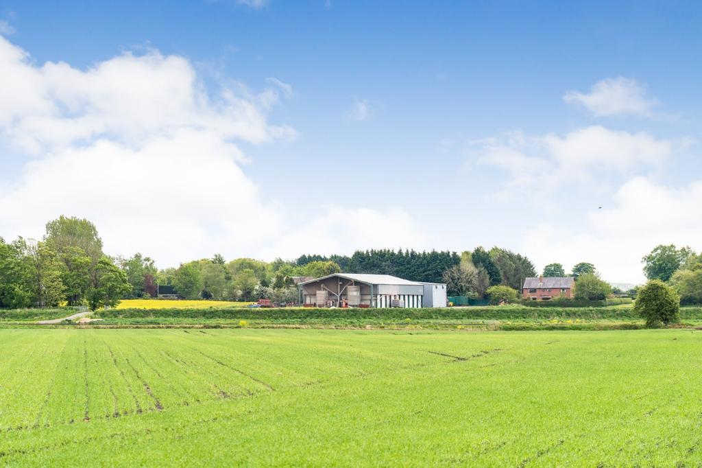 Beech Grove Farm