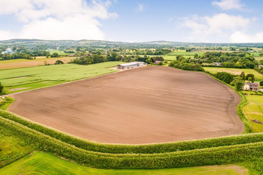 Beech Grove Farm