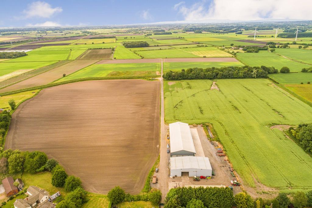 Beech Grove Farm
