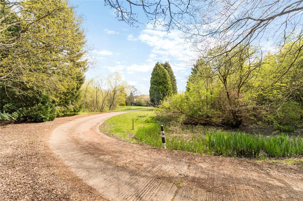 Driveway