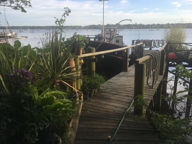 Dolfijn - jetty.jpg