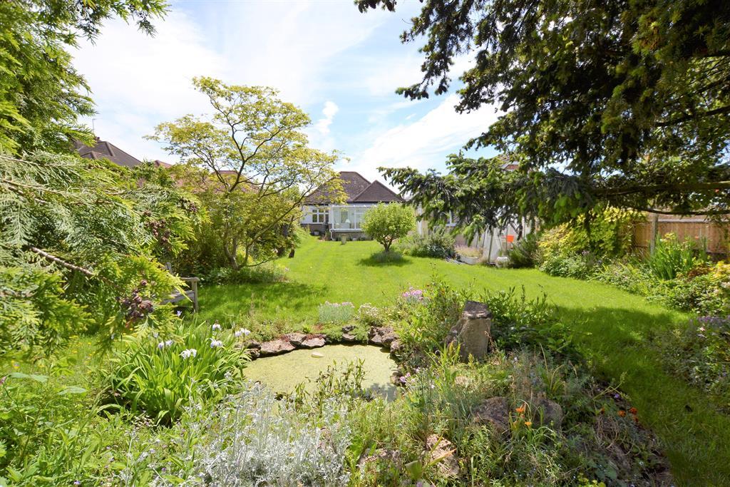 Rear of Property