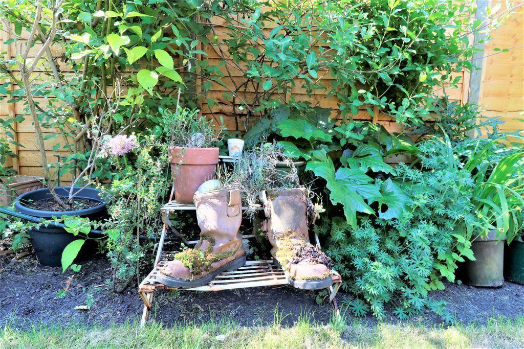 Garden at Back