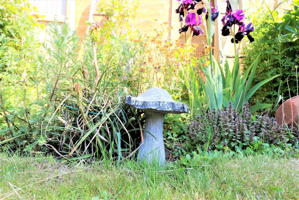 Garden at Back