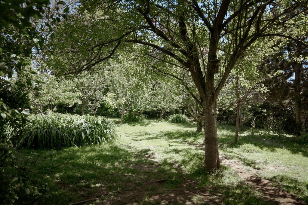 Gardens