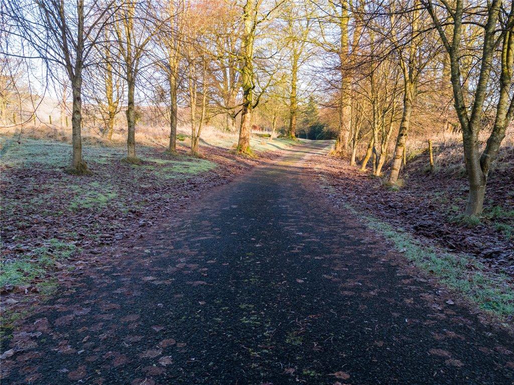 Picture No. 42