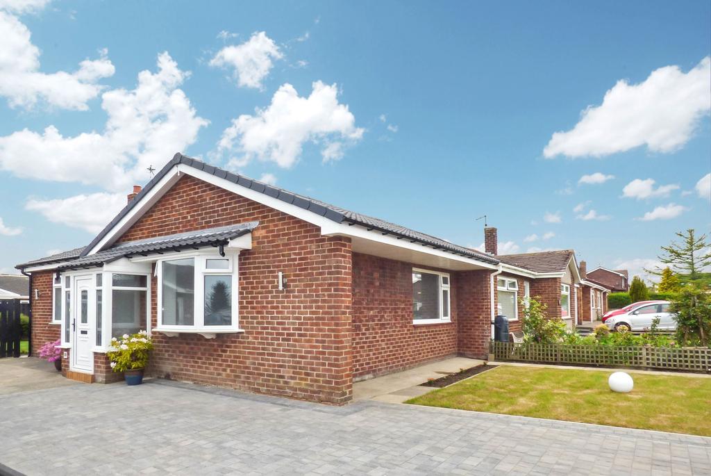 Another Garden Photo