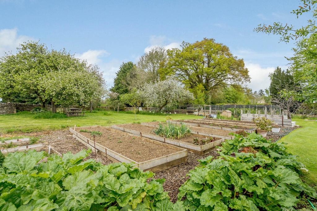 Veg Plot