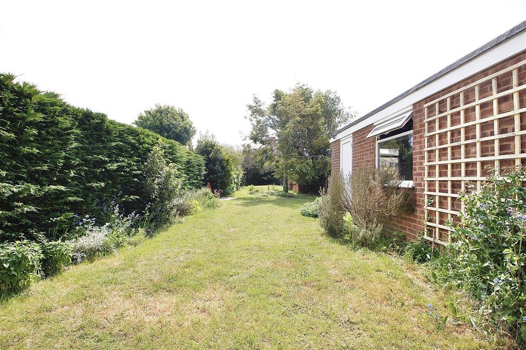 Outside- Rear