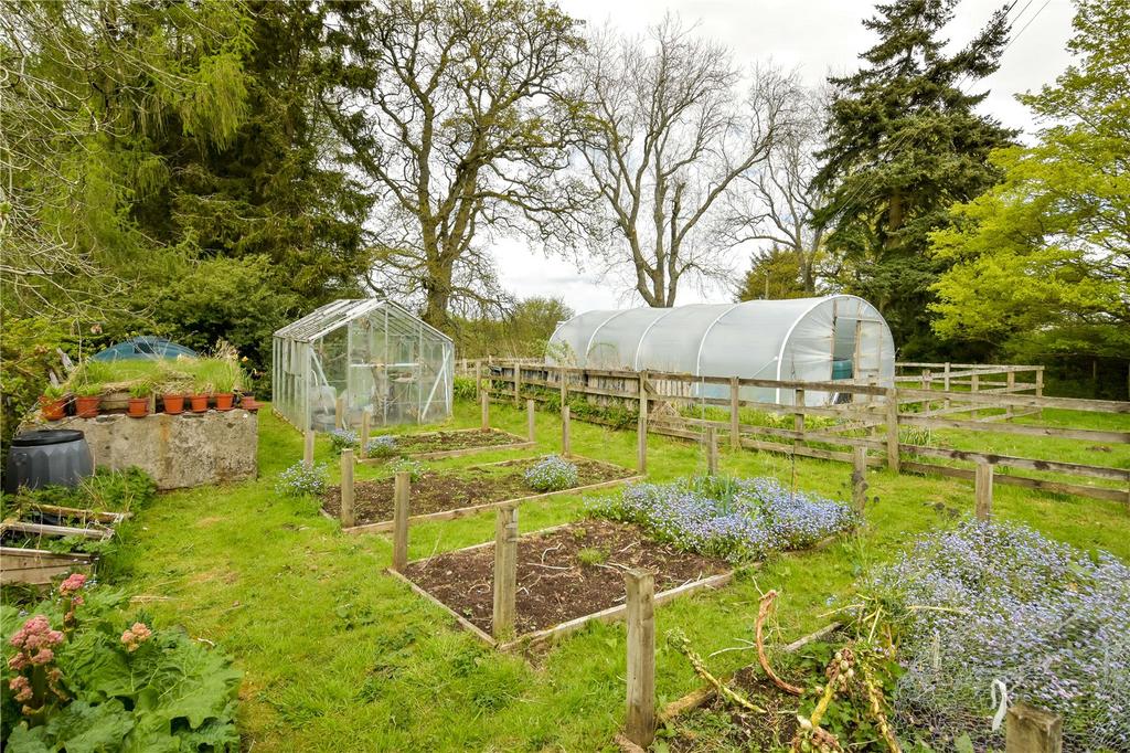 Kitchen Garden