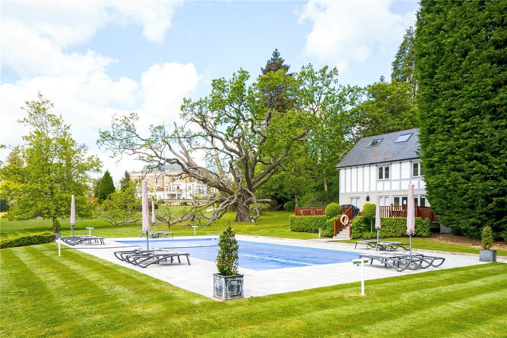Communal Pool