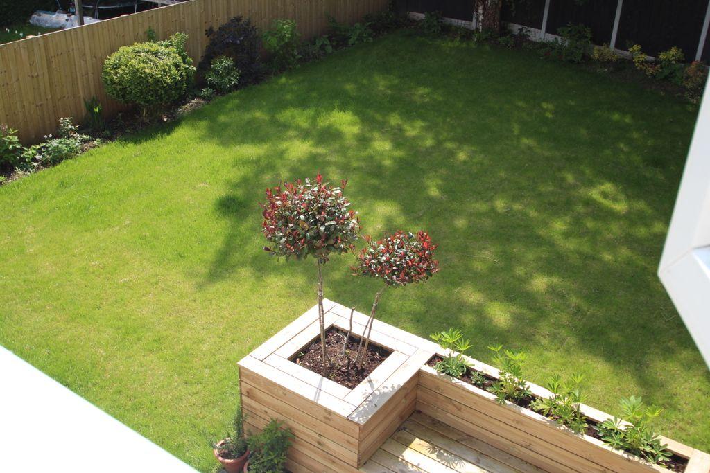 Garden at Back