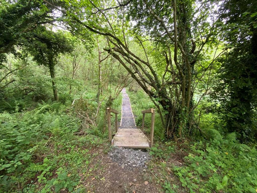 Path Down To River