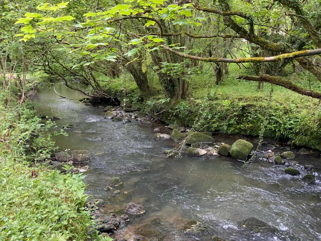 River &amp; Weir