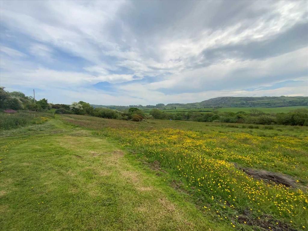 Grazing Fields and