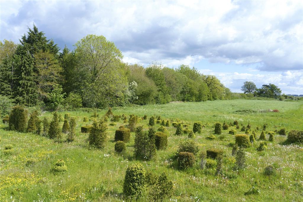 Grounds