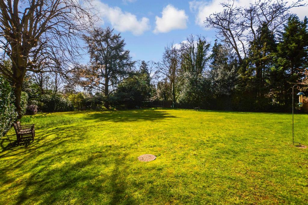 Garden looking away