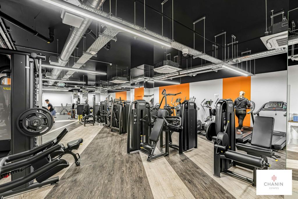Gymnasium