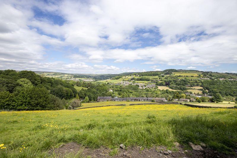 Land &amp; View