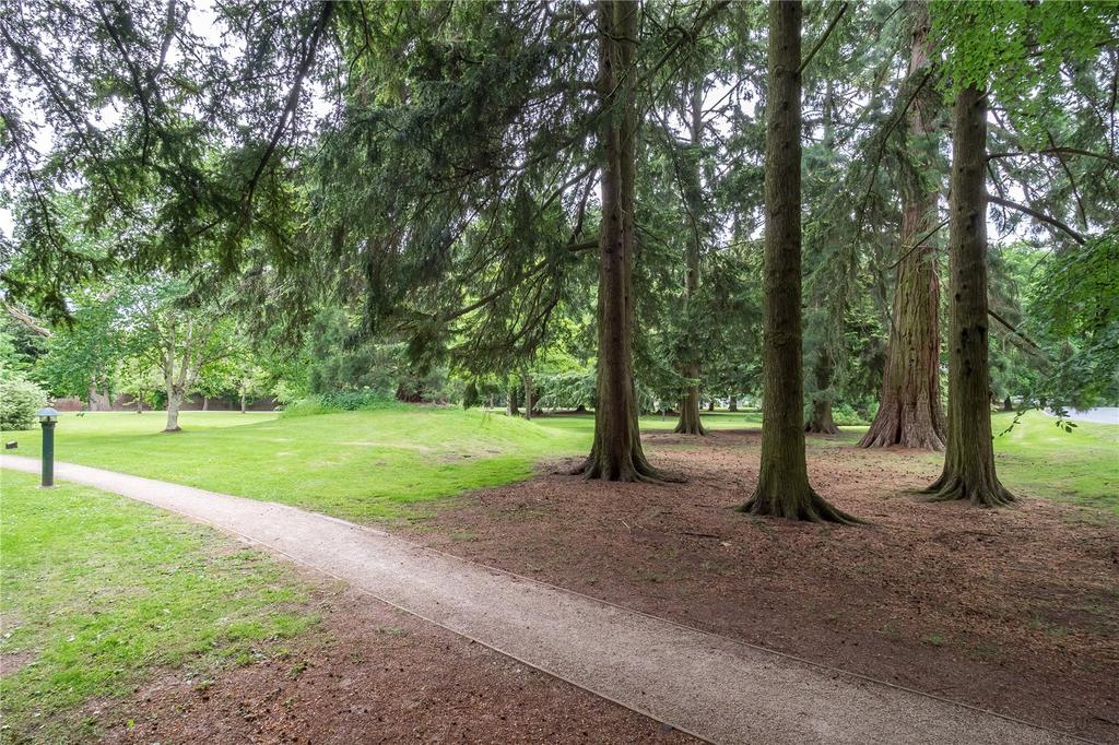 Communal Grounds