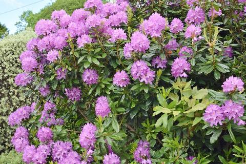 Bunclody Henryd Road, Conwy, LL32 8YG