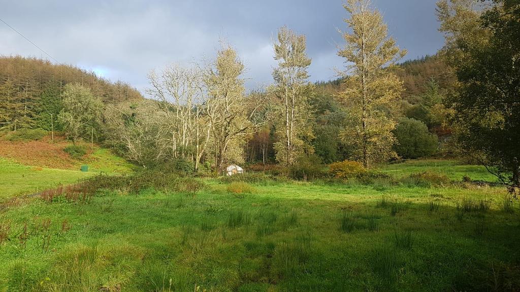 Meadows