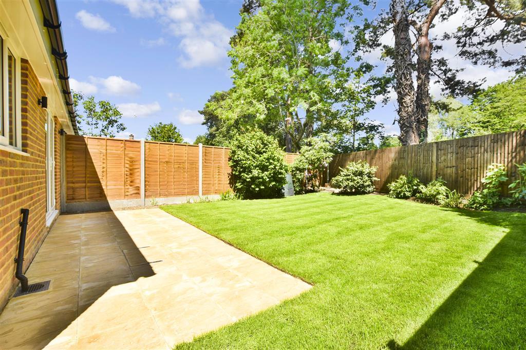 Patio / Decking