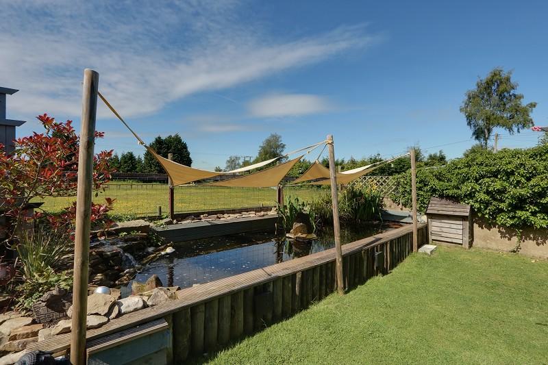 Pond