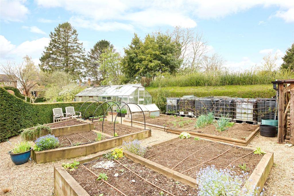 Vegetable Garden