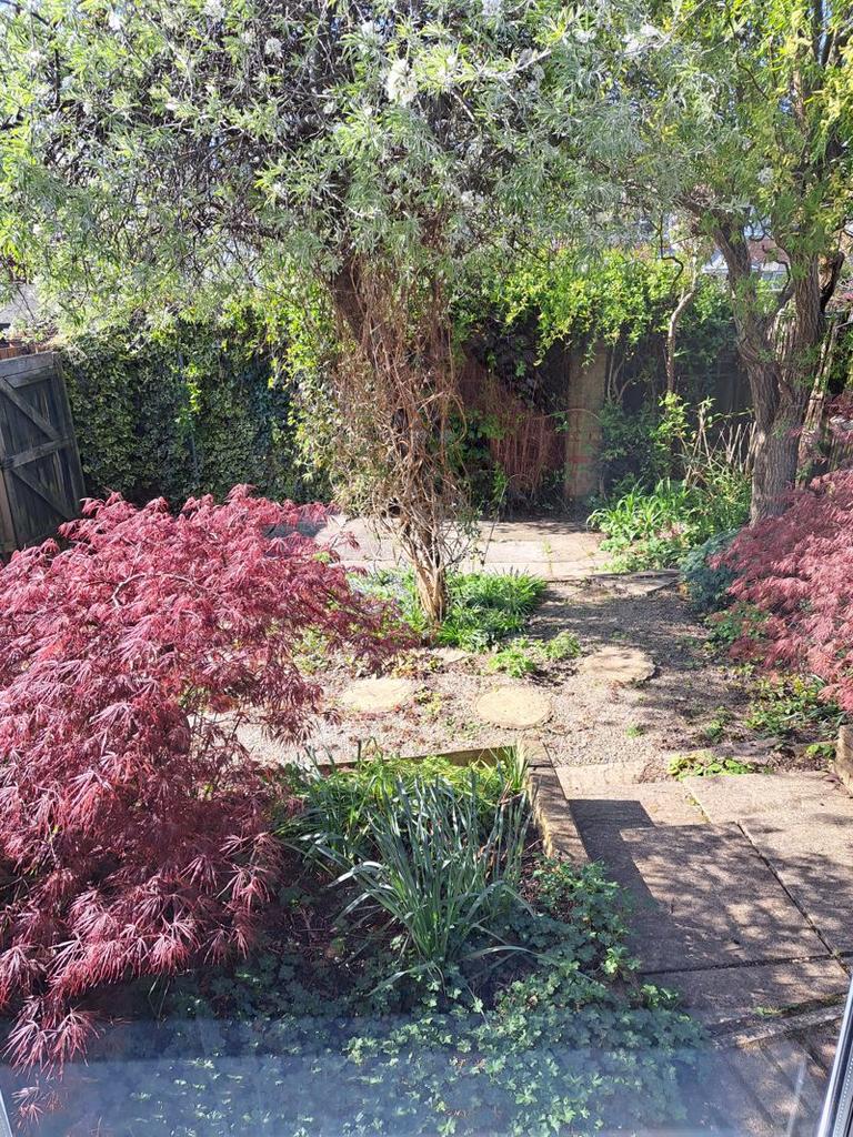 Photo 16